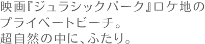 ハワイ（クアロア）～映画「ジュラシックパーク」ロケ地のプライベートビーチ。超自然の中に、ふたり。～