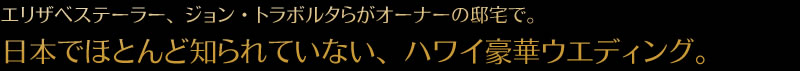 ハピネスウエディング　エリザベステーラー、ジョン・トラボルタらがオーナーの邸宅で。日本でほとんど知られてていない、ハワイ豪華ウエディング