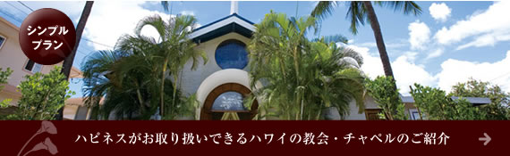 ハピネスウエディング　オリジナルハワイウエディング