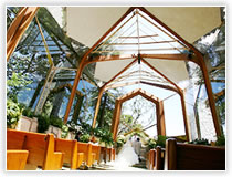 アメリカ西海岸での挙式プラン002